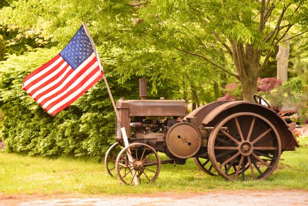 Peconic Herb Farm in Calverton