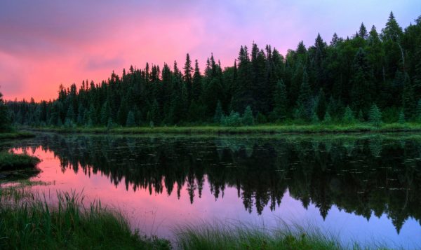 Predawn on the Baptism river near Finland in Northern Minnesota while looking for Minnesota moose.