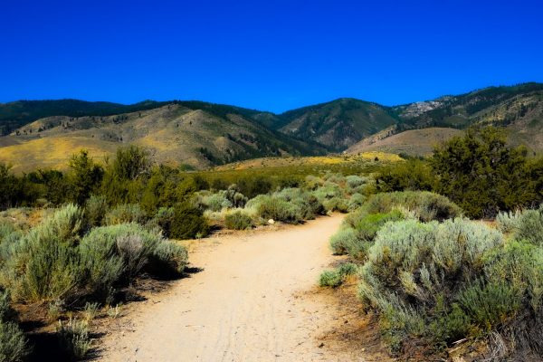 Gorgeous landscape of hiking area in my sister’s neighborhood in Carson city