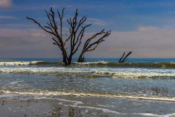 Another example of the effect of the rising tide. Have found that Botany Bay affords endless