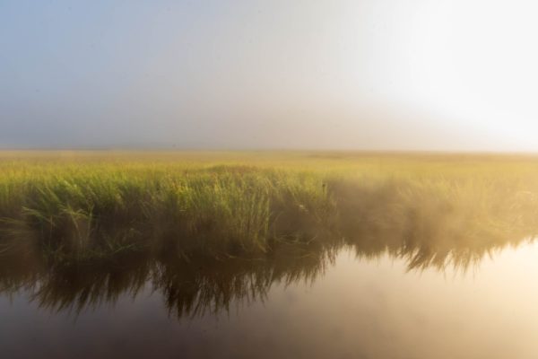 Shortly after sunrise. The rising sun gradually burns off the early morning mist over the marsh.