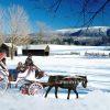 This is a photograph of a picturesque winter scene featuring a horse-drawn carriage. The carriage is