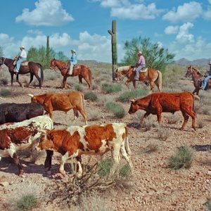 This is a vibrant depiction of a scene in the American Southwest, featuring a group of cowboys on