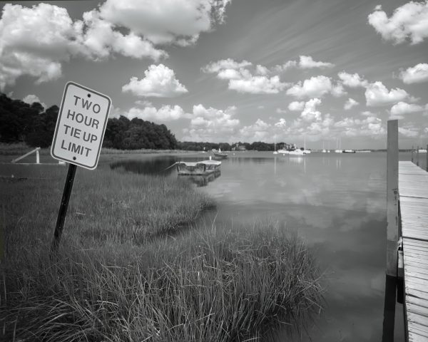 This black and white photograph captures a serene mooring pond scene. In the foreground, there is a
