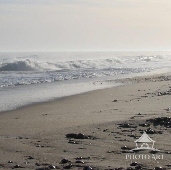 Blue Shutter Beach