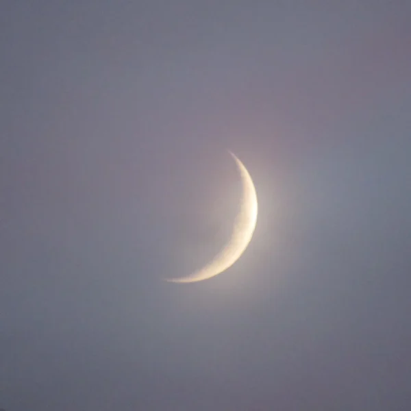 Sarahs Sleepy Moon 2021