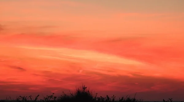 Sunset Washed Sky