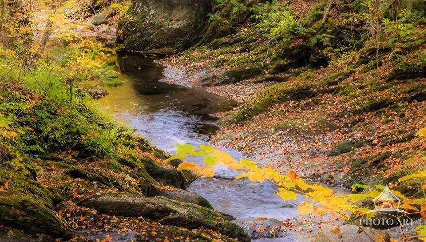 This stunning photograph, captured during a recent trip to Vermont, features a serene stream winding