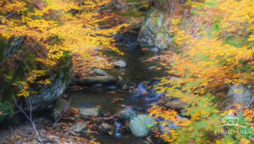Captured in the heart of autumn, this fine art photograph reveals the vibrant beauty of fall foliage