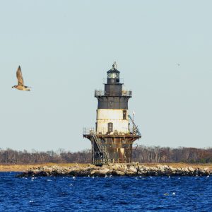 This photo was taken at Orient Point at the beach near the lighthouse at North Folk on Long Island,