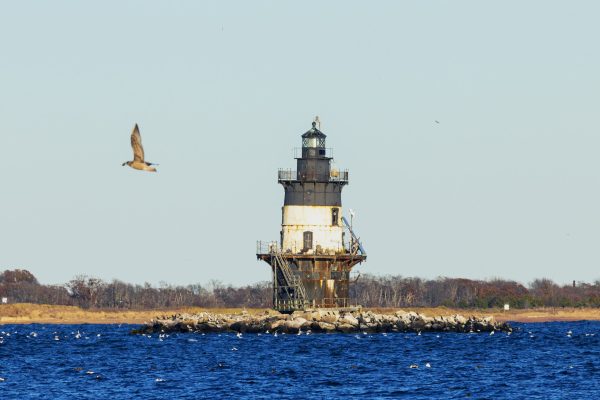 This photo was taken at Orient Point at the beach near the lighthouse at North Folk on Long Island,