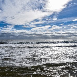 Smiths point beach in Shirley New York on a beautiful day in November. Any season the beach is a
