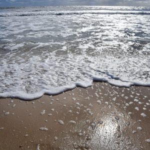 Any day is a fine day to be at the beach even the Sunny cool day in November! The sun was hitting