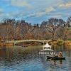 This is a photograph of a tranquil scene in the Central Park lake with a person rowing a boat. In