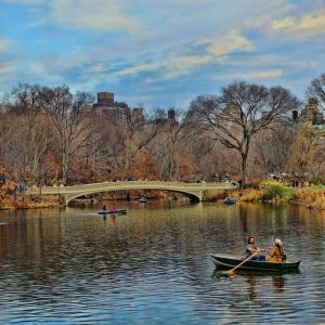 This is a photograph of a tranquil scene in the Central Park lake with a person rowing a boat. In
