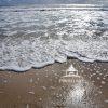 Enjoying a November afternoon at Smithspoint Beach in Shirley. Loving the ‘Surf Sand Sun’.