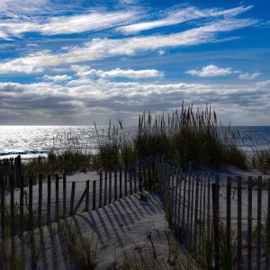 A walk along the shore on a beautiful “November Beach Day” . Not too cold wind blowing, so clear