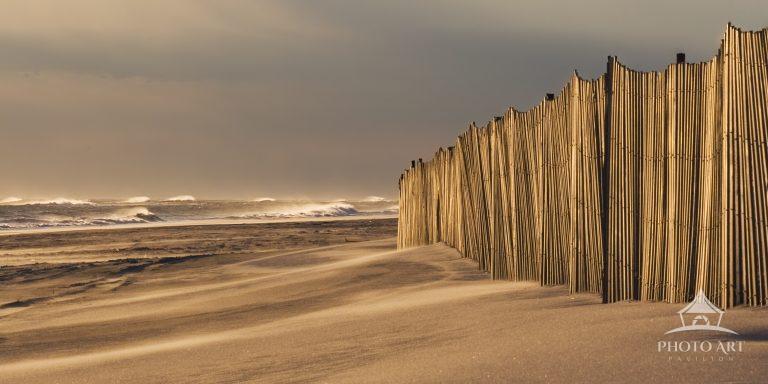 Storm fencing protects the fragile dunes against the ravages of winter surf.