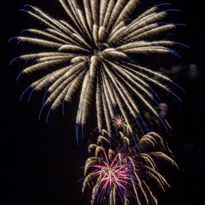 Multiple bursts of Gold tipped with blue create a delicate filigree pattern in the sky.
