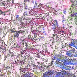 Digitally Manipulated Photography to turn photo into a piece of art. Photo taken of a flower garden.