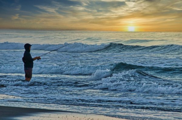 Fishing at Dawn in Torre Pines Park, CA