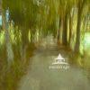 A covered path between two lagoons in the Swamp Garden . Well worth the walk, always beautiful The