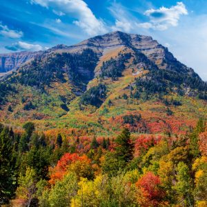 As the chill of autumn settles over the Wasatch Mountains, the Alpine Loop transforms into a living
