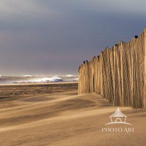 Storm fencing protects the fragile dunes against the ravages of winter surf.