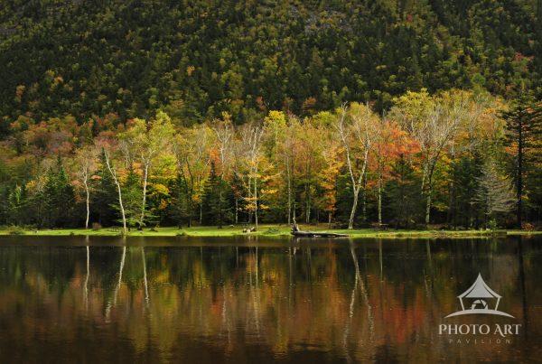 I came across this lovely scene along a lake in New Hampshire. I waited for the soft light to