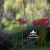 The artwork is a blurred, impressionistic image of a natural scene with vibrant greens, and