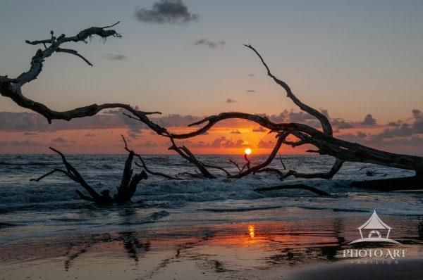 An amazing beach with many forms of driftwood.  Even more amazing to be there for a sunrise!