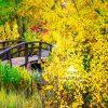 The trail near Soldier Hollow was quiet that day, the kind of quiet that only comes in the heart of