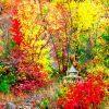 There is nothing more beautiful than autumn leaves, they almost take your breath away. This photo