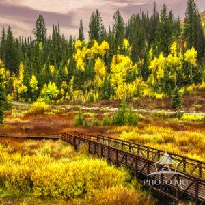 Big Cottonwood Canyon is a beautiful and diverse destination, offering breathtaking scenic drives
