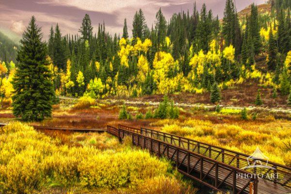 Big Cottonwood Canyon is a beautiful and diverse destination, offering breathtaking scenic drives