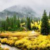 Foggy mornings and misty scenes create moments of beauty. I had turned back from the high peaks of
