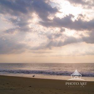 The beaches at Ocean City Maryland are some of the most visited in New England.