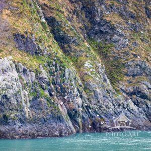 Scenic sailing inside Glacier Bay, a breathtaking alpine paradise surrounded by soaring ice-capped