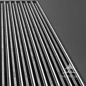 Black and White 35mm film