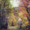 Autumn Landscape