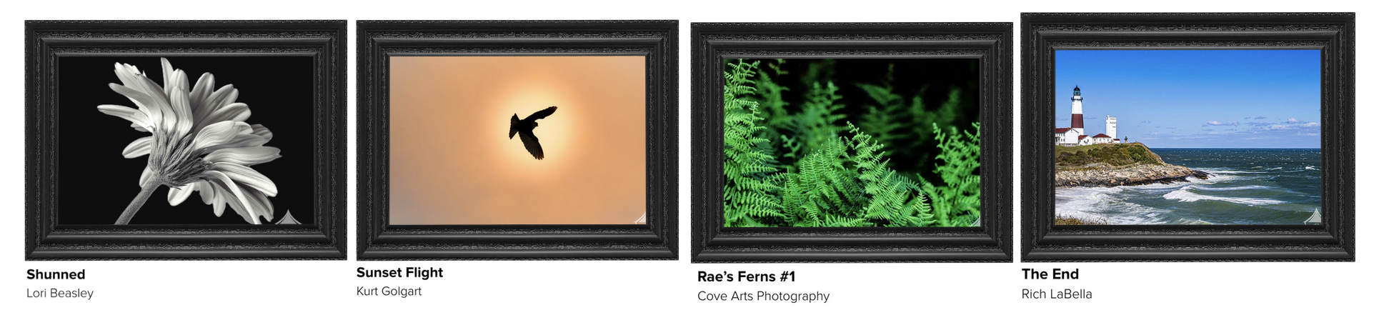 Black Friday Art Sale VIP Sale 2026 free shipping