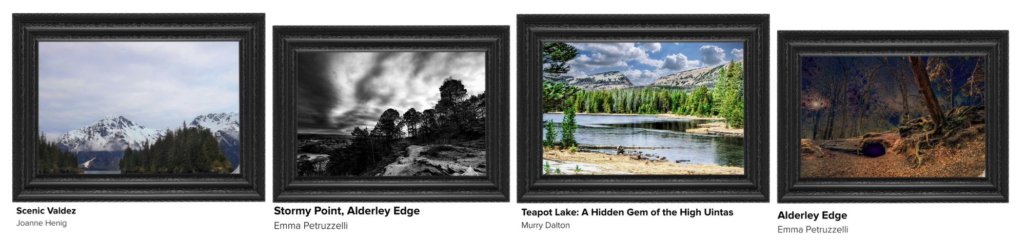 Black Friday Art Sale VIP Sale 2026