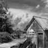 Black and White Landscape