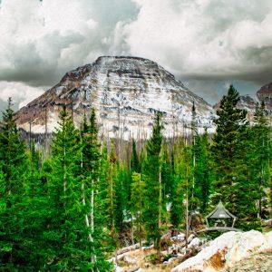 The wind had the scent of ice and pine, a razor-sharp whisper against my cheek. I stood on the rocky