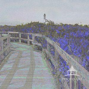 When I am walking toward the Fire Island Lighthouse, I like to show the walkway and the lighthouse