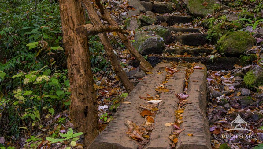 A quiet path going uphill to Margarete Falls this autumn.  A very peaceful scene.
