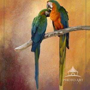 These two Parrots were delightful. Extracted and placed onto this bright background to complement