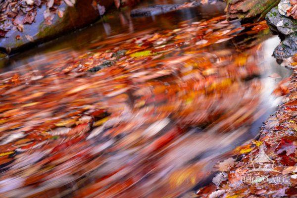 Swirling leaves at the base of Flat Hollow falls. When I arrived at the falls, there was photo