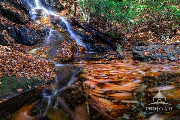 Swirling leaves at the base of Flat Hollow falls. When I arrived at the falls, there was photo