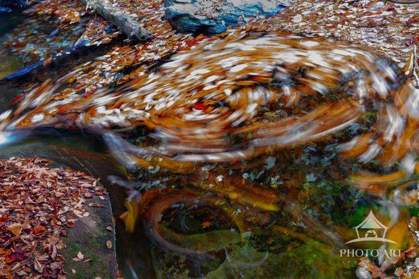 Swirling leaves at the base of Flat Hollow falls. When I arrived at the falls, there was photo